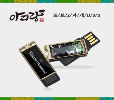 Ƹ Ʈ2 ڰ USB 8GB _ǥ̹